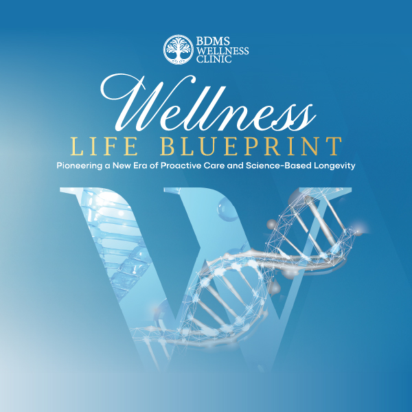 Wellness Life Blueprint