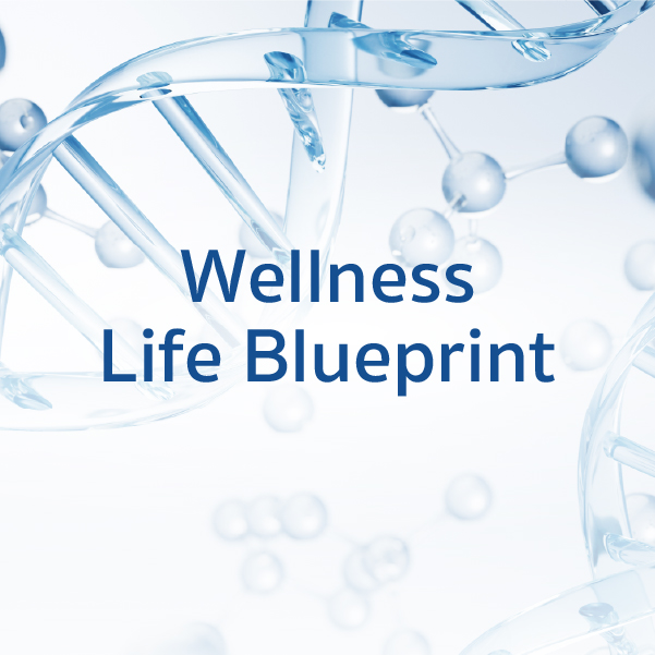 Wellness Life Blueprint