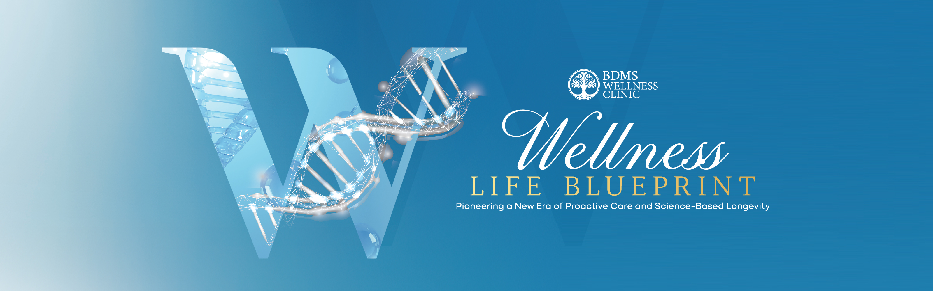 Wellness Life Blueprint