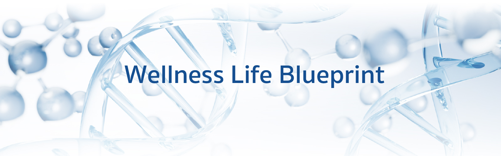 Wellness Life Blueprint