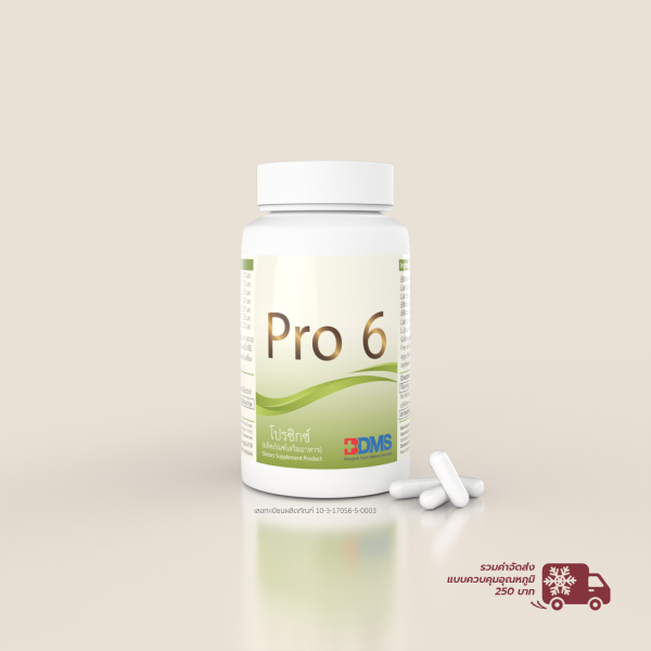 Pro6 (โพรไบโอติกส์)