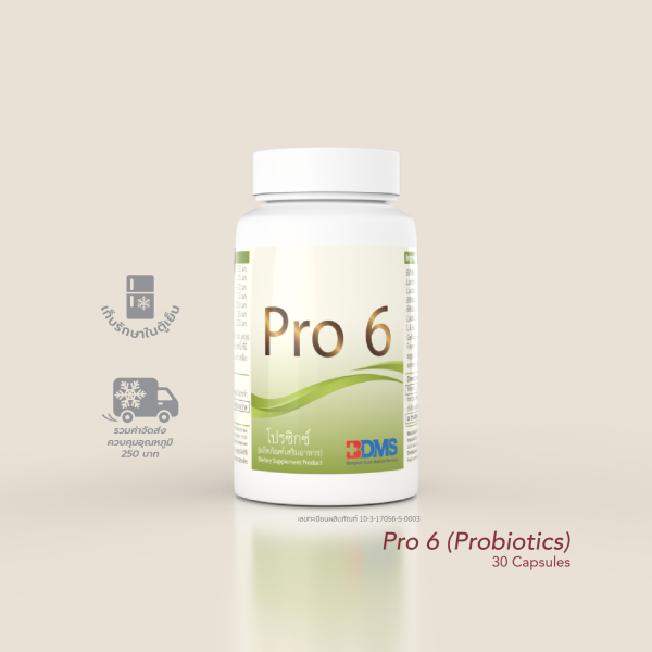 Pro6 (โพรไบโอติกส์)