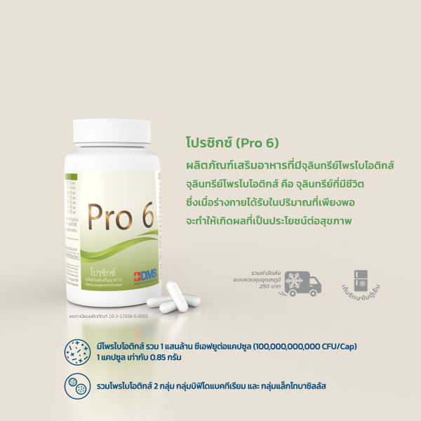 Pro6 (โพรไบโอติกส์)