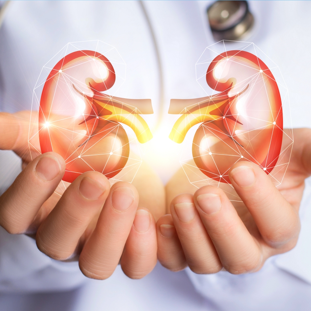 Prioritizing Kidney Health: 8 Preventative Measures for Everyone