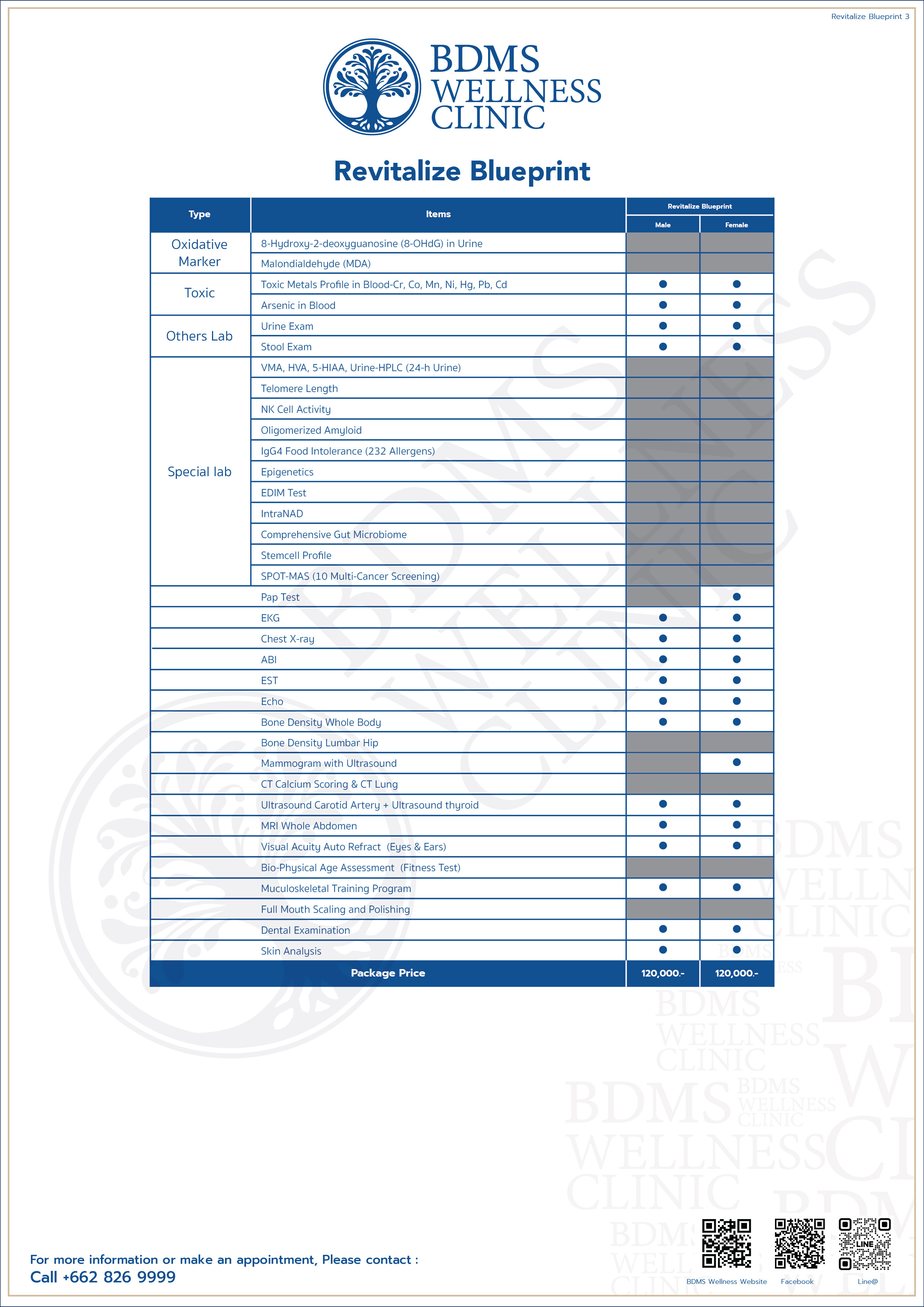 Revitalize Blueprint